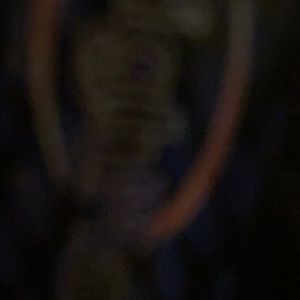 Meet your Posher, Darwin